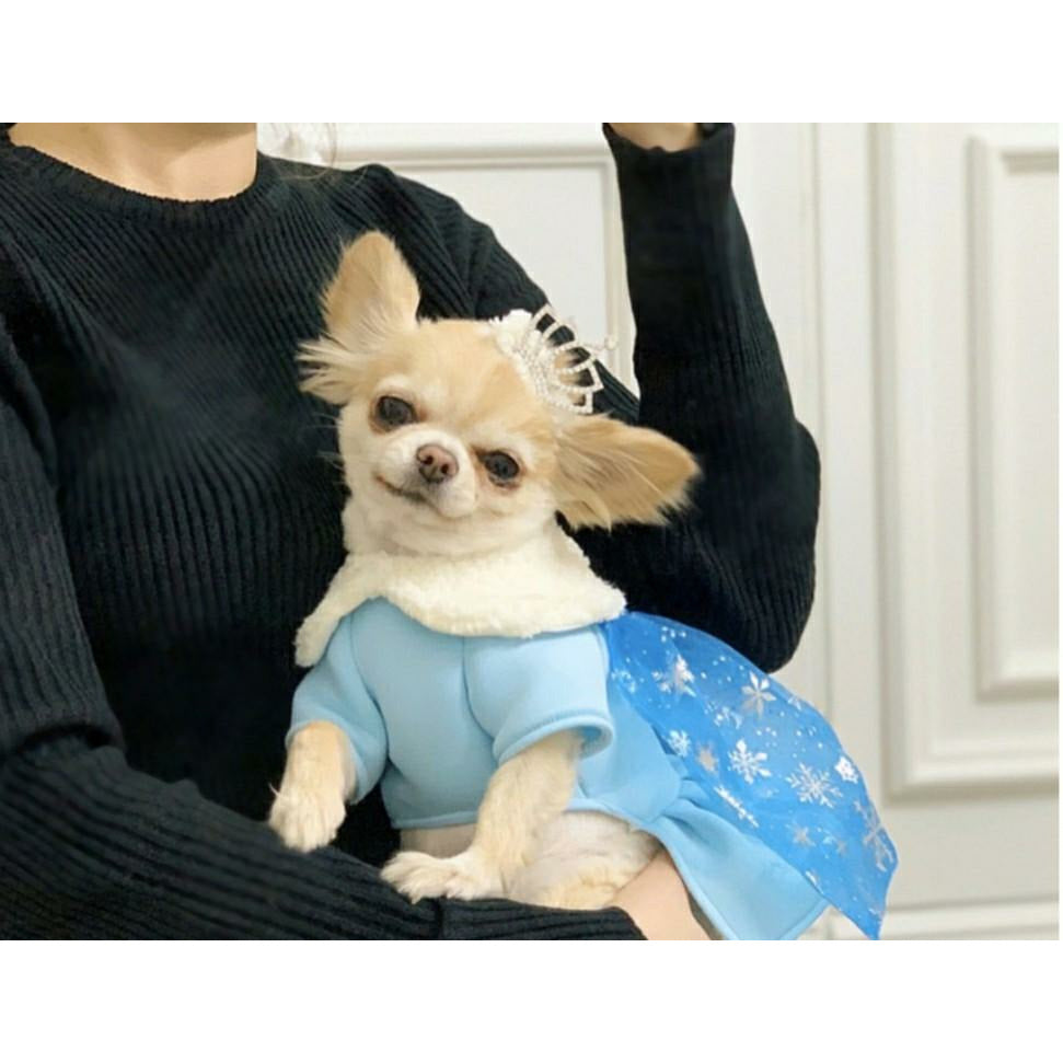 Elsa 2024 dog costume